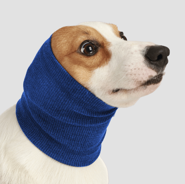 Dog wearing a blue anti-anxiety snood, designed for noise reduction, ear protection, and warmth during winter.